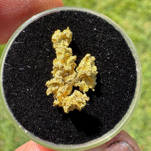 California Native Gold Crystal -  0.93 grams - Picture 2 of 5